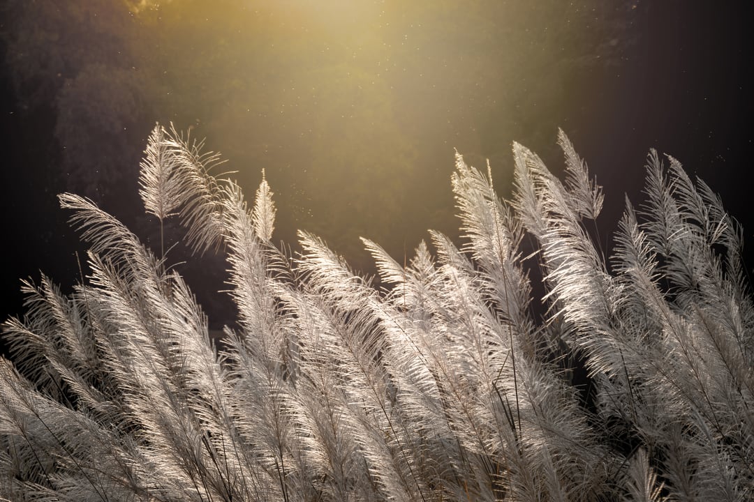 Dunkelheit und Licht
