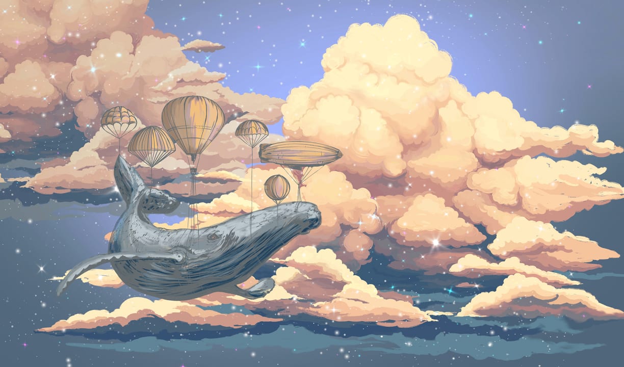 Among the Clouds
