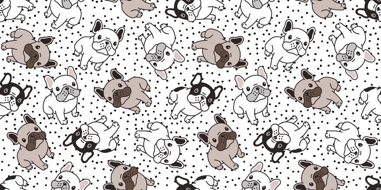 Une parade canine ludique