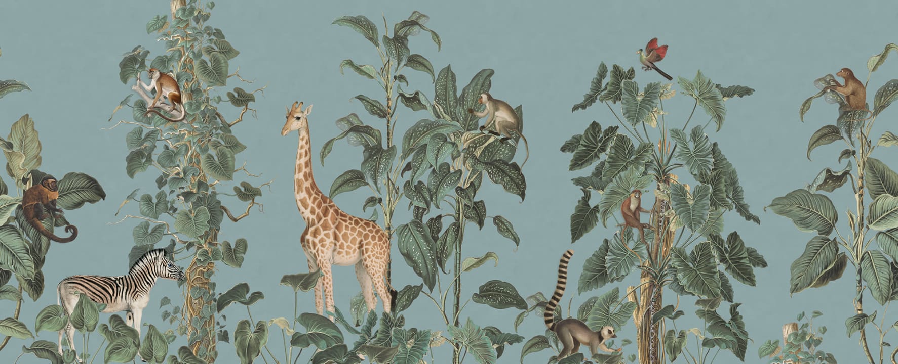 Jungle paradisiaque