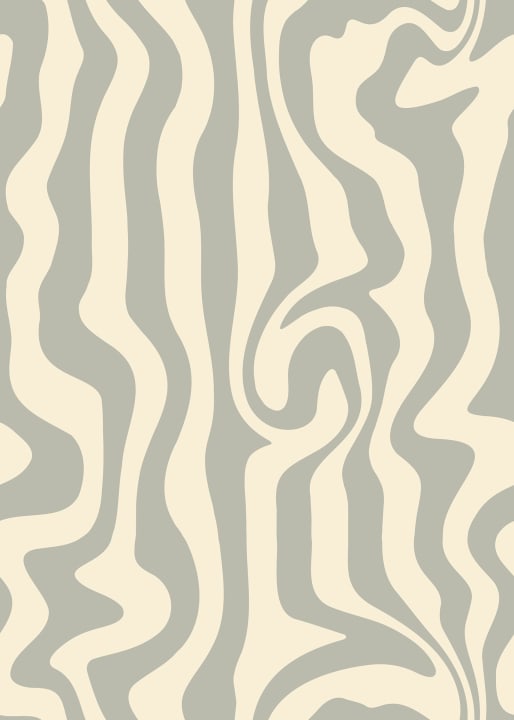 Soft Zebra Feel