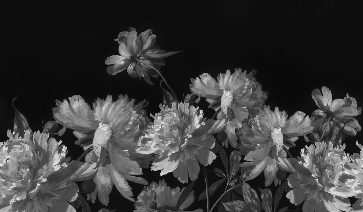 A Garden's Serenity