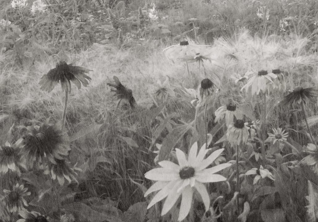 Floraison artistique