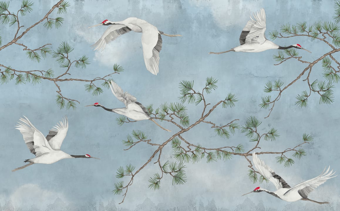 Graceful Flight 