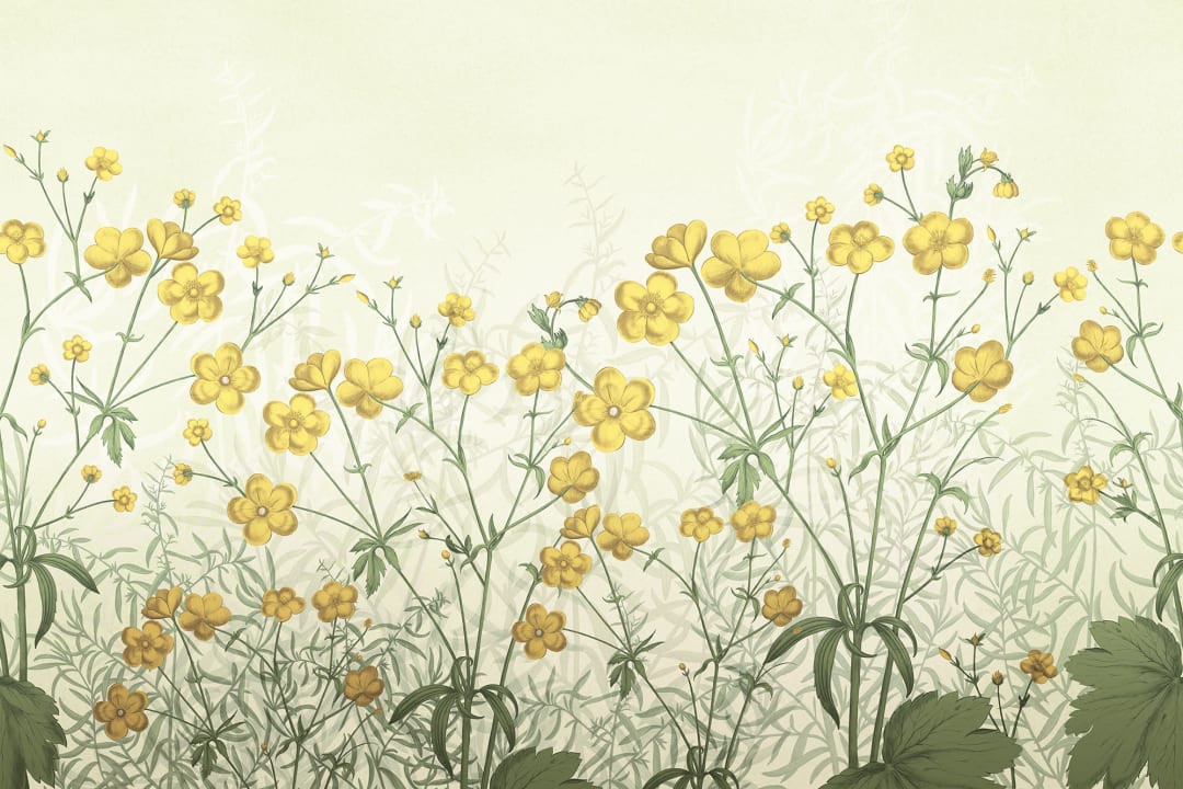 Een bloemenveld