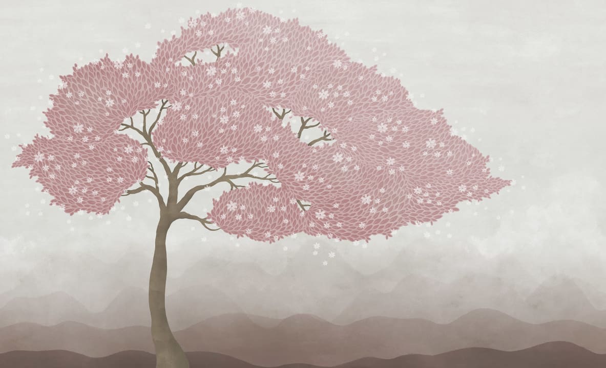 Rosa Baumbrise