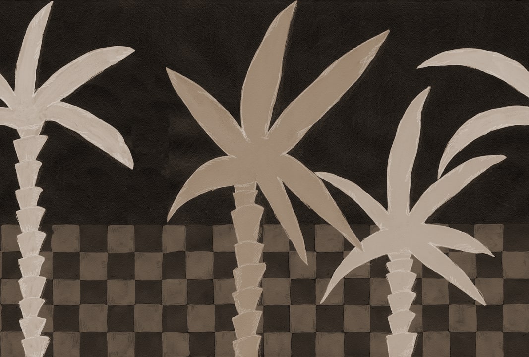 Eleganza delle palme