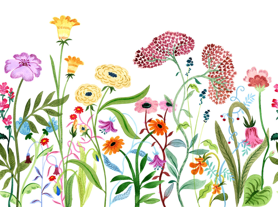 Blomsterparadis