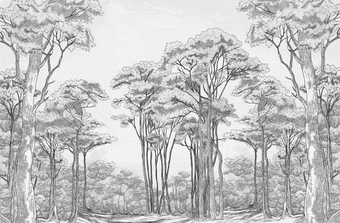 Arbres noirs et blancs