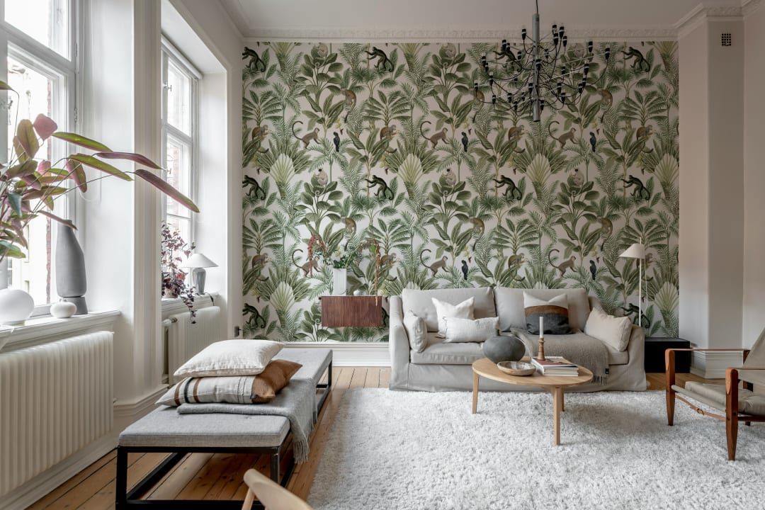Jungle verte luxuriante