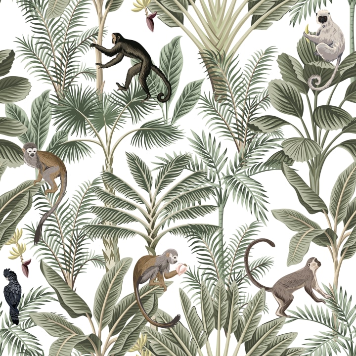 Jungle verte luxuriante