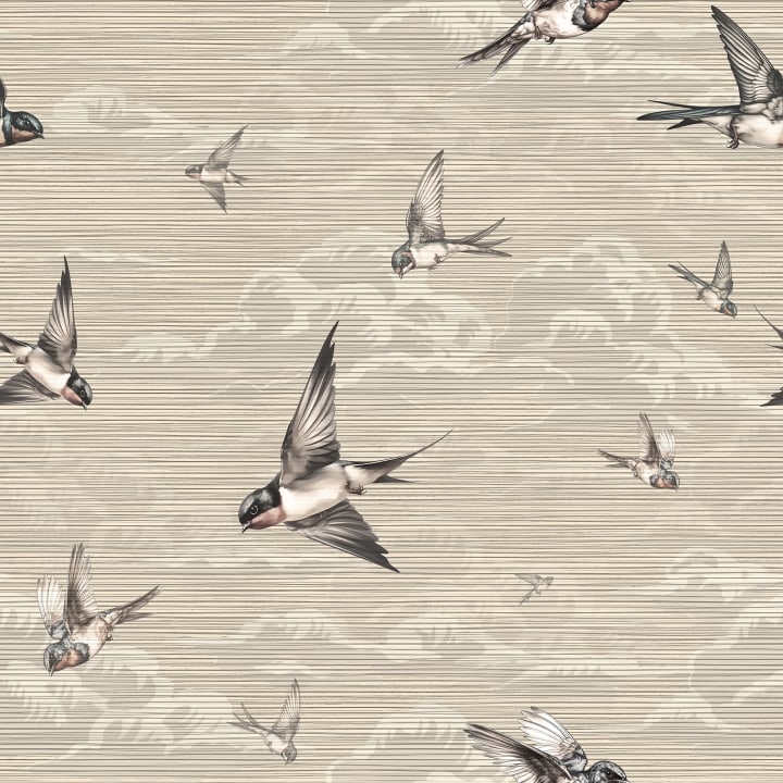Hirondelles beige sereines