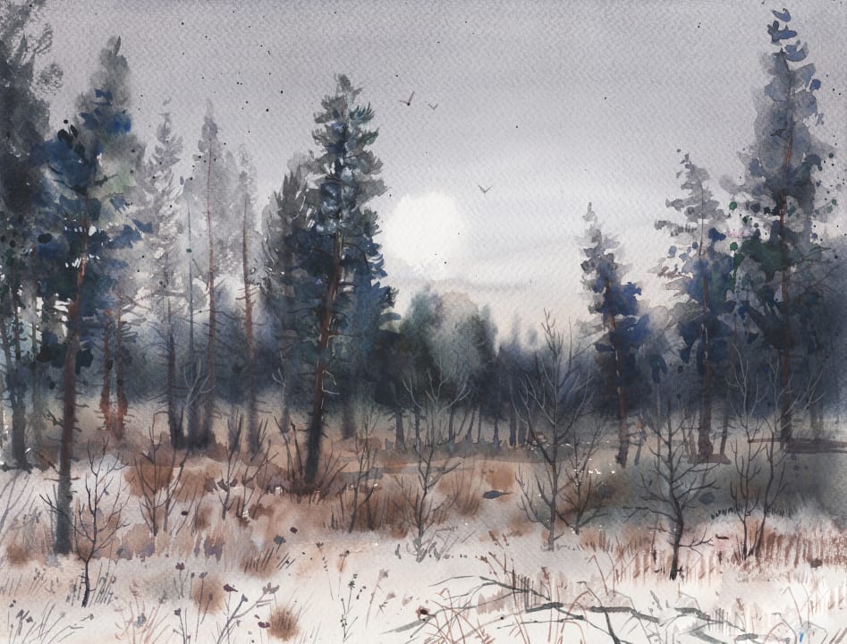 Betoverende bos-symfonie