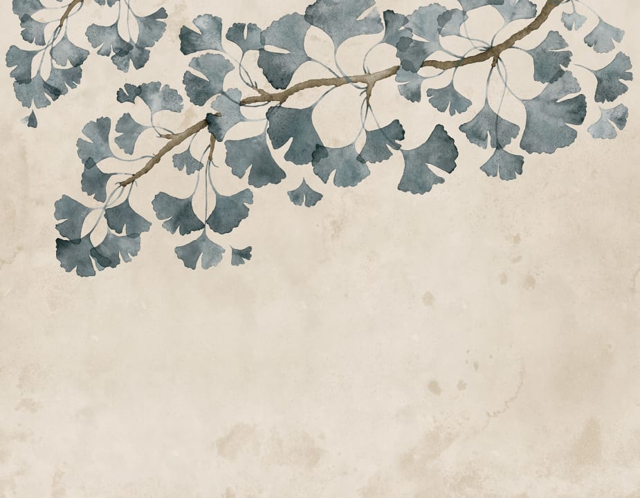 Ginkgo Grace