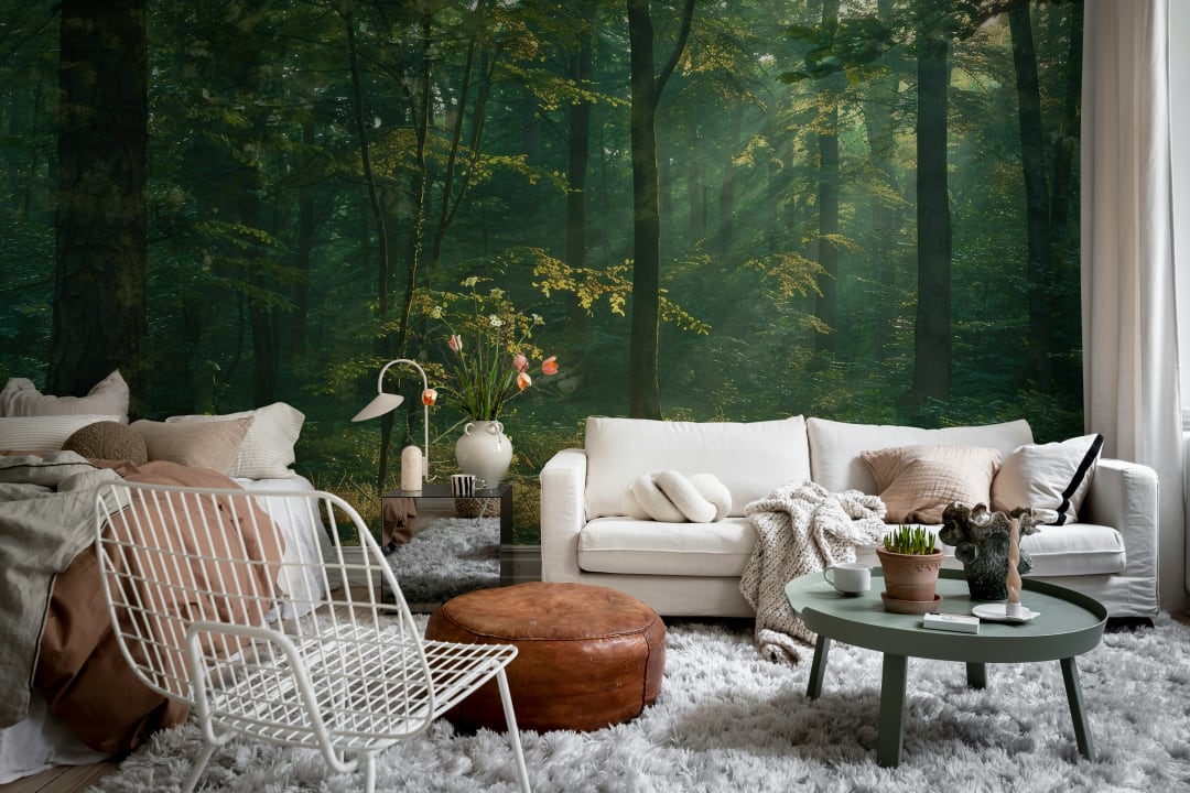 Sunlit Forest Escape