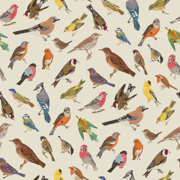 Kleurrijke vogelharmonie
