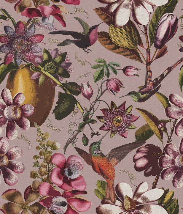 Betoverende Kolibri Dans