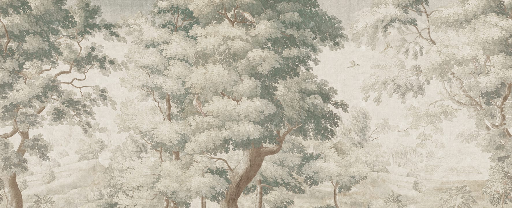 Découvrez la Sérénité de la Nature