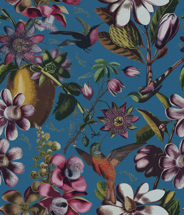 Embrace Vibrancy with Flying Kolibri