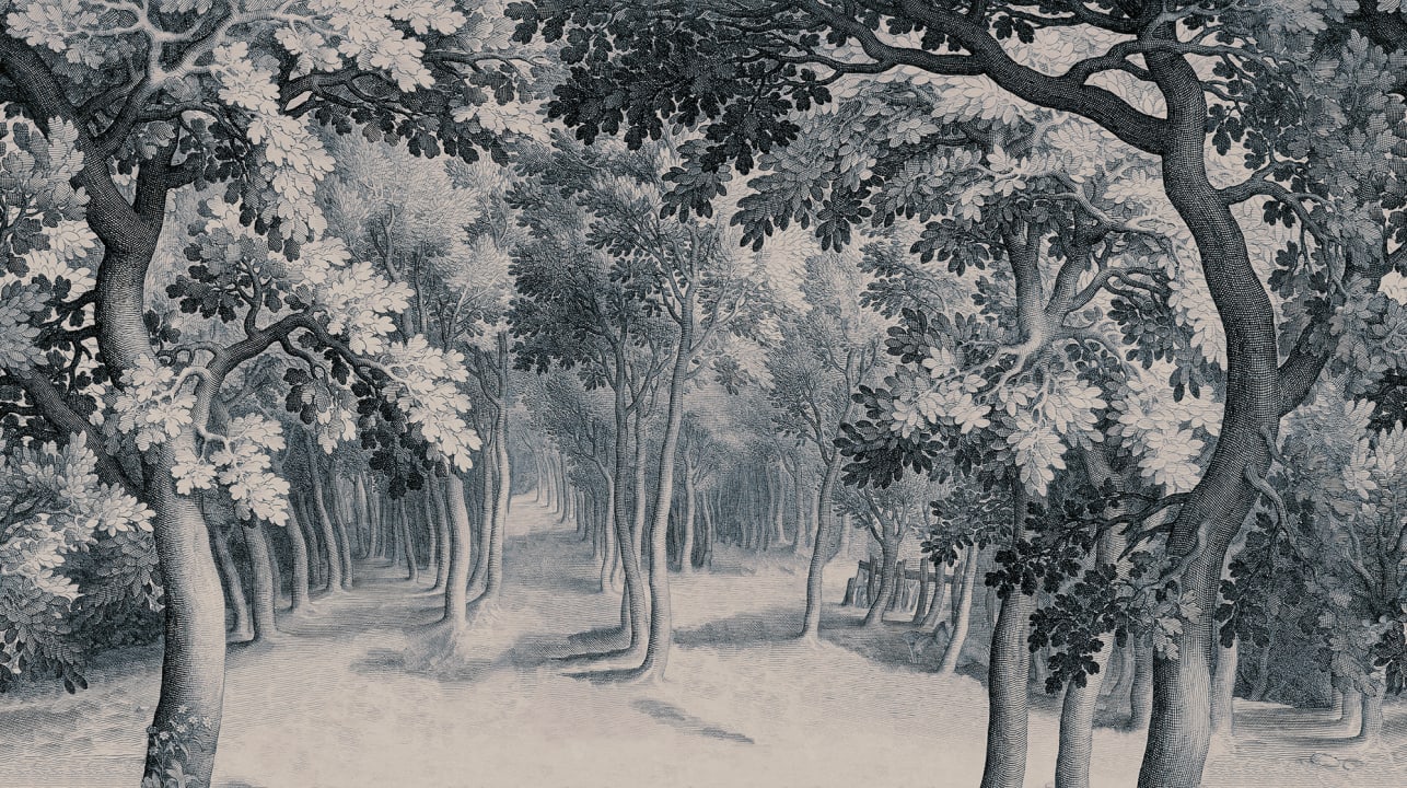 Scoprite la serenità dell'incisione della foresta