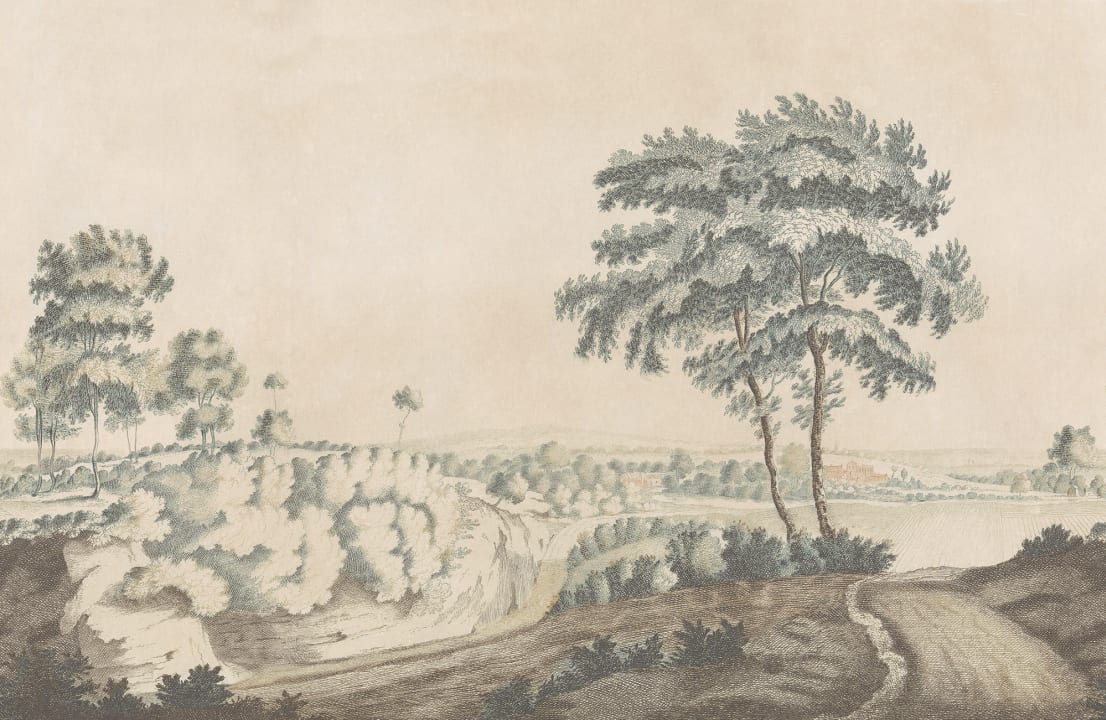 Embrace the Serene Countryside
