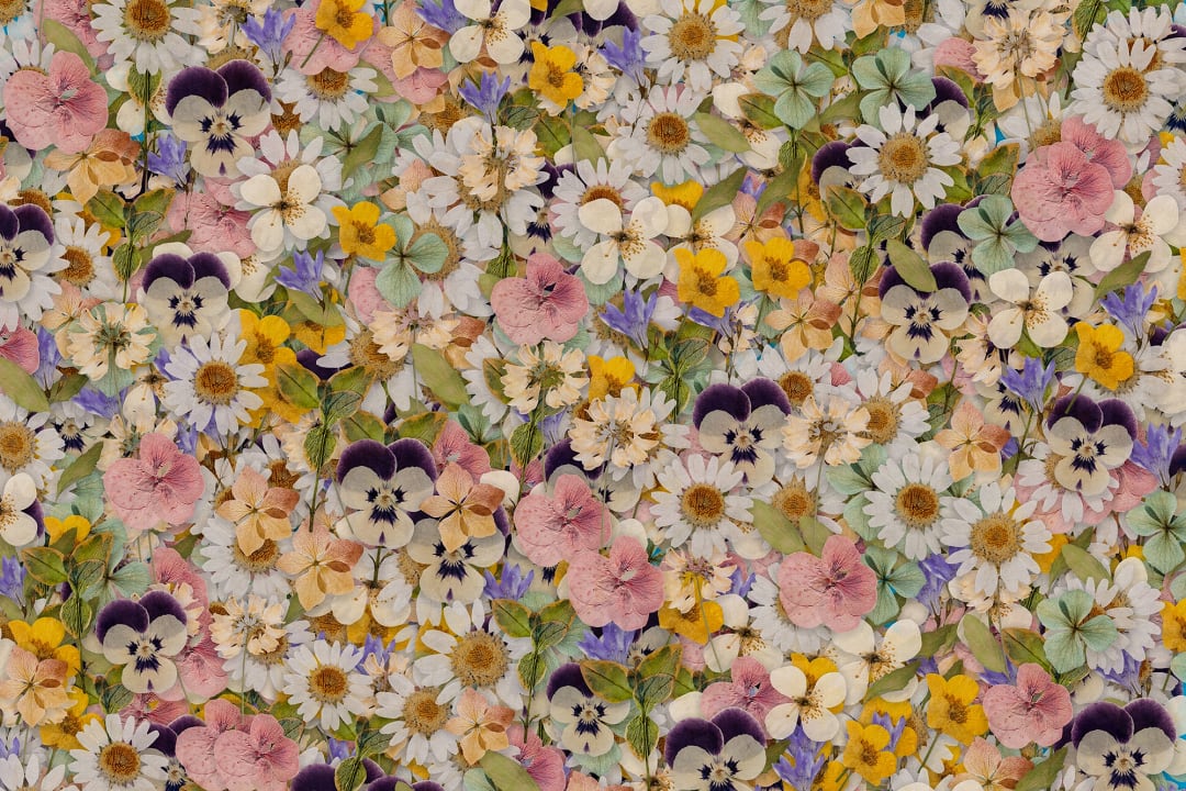 Floral Meadow Elegance