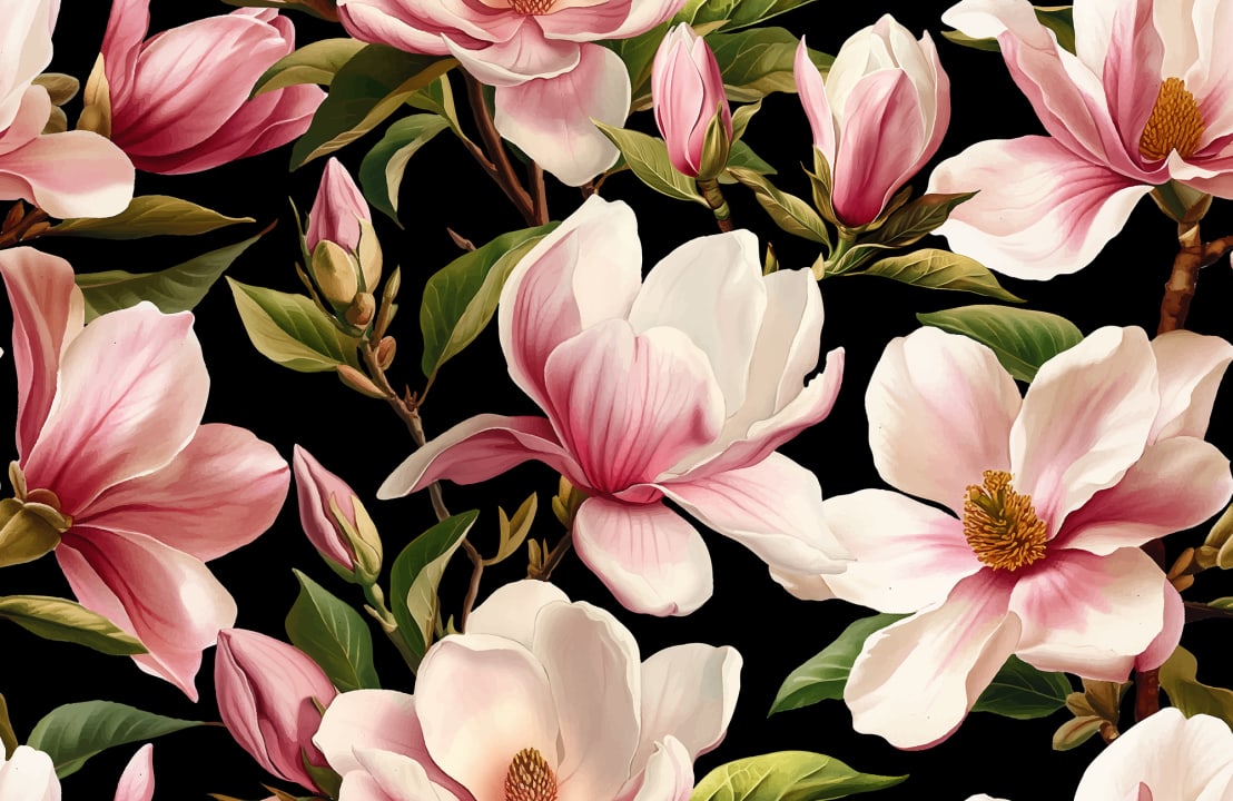 Eleganti fiori di magnolia
