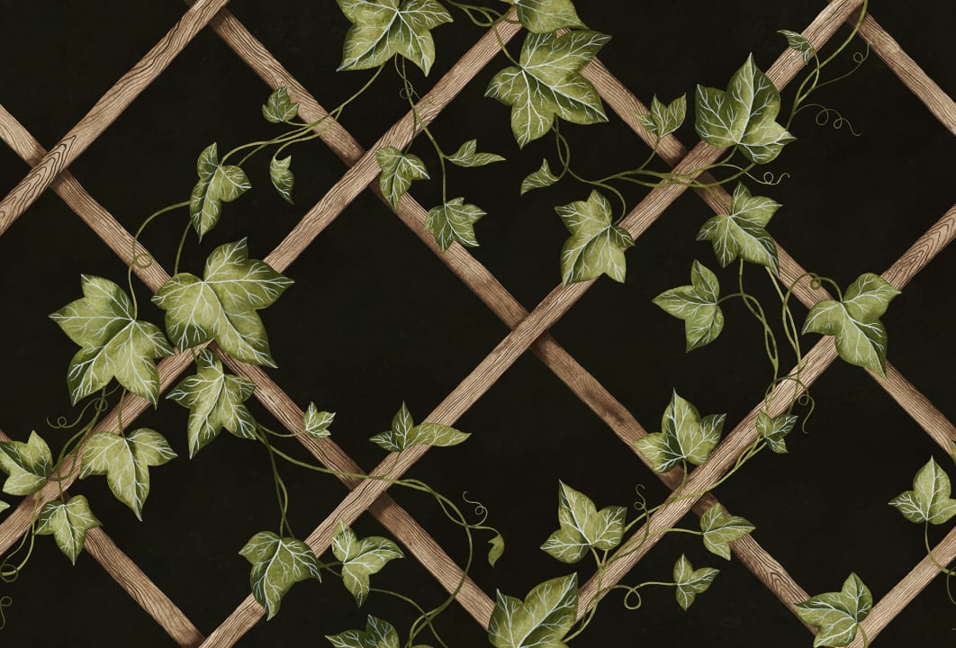 Embrace the Charm of Ivy Trellis
