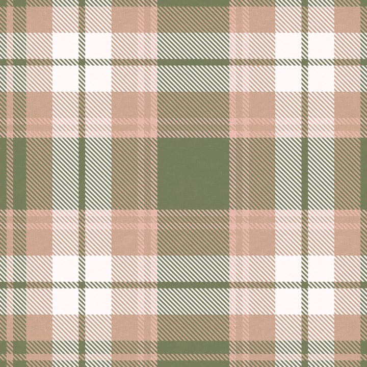 Charming Pastel Tartan Vibes