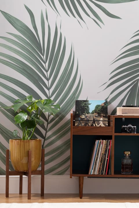 Papier Peint Panoramique Tropical de Grandes Feuilles de Palmier Vert