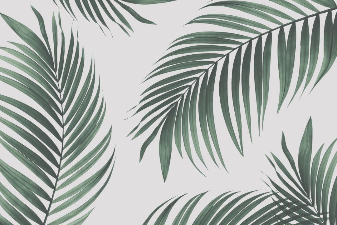 Mural Papel Pintado Tropical con Hojas de Palmera Verdes Oversize