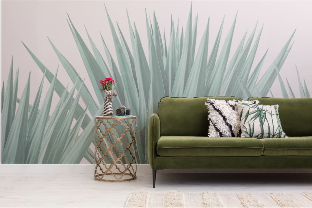 Agave växt fototapet