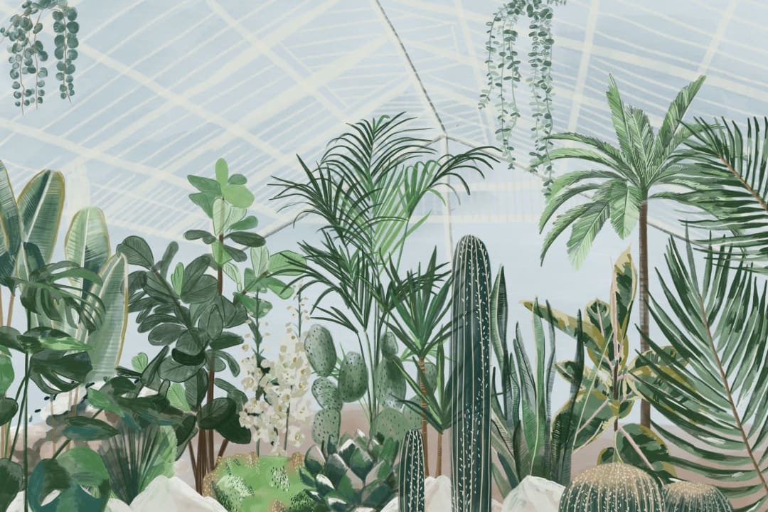Akvarel botanisk drivhus Tapetmaleri