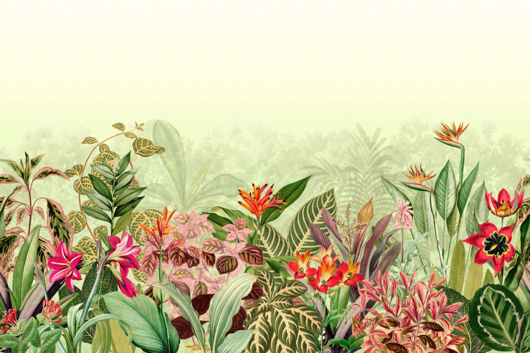 Vintage Tropical Botanics Green Wall Mural