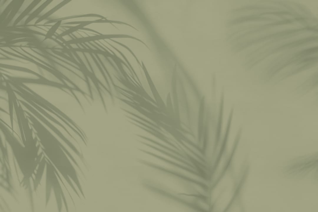 Green Palm Leaf Shadow Mural