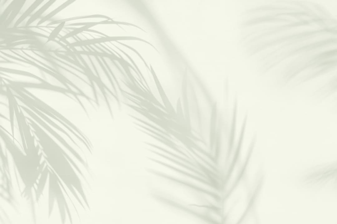 Mural de papel pintado con sombra de hoja de palmera verde claro