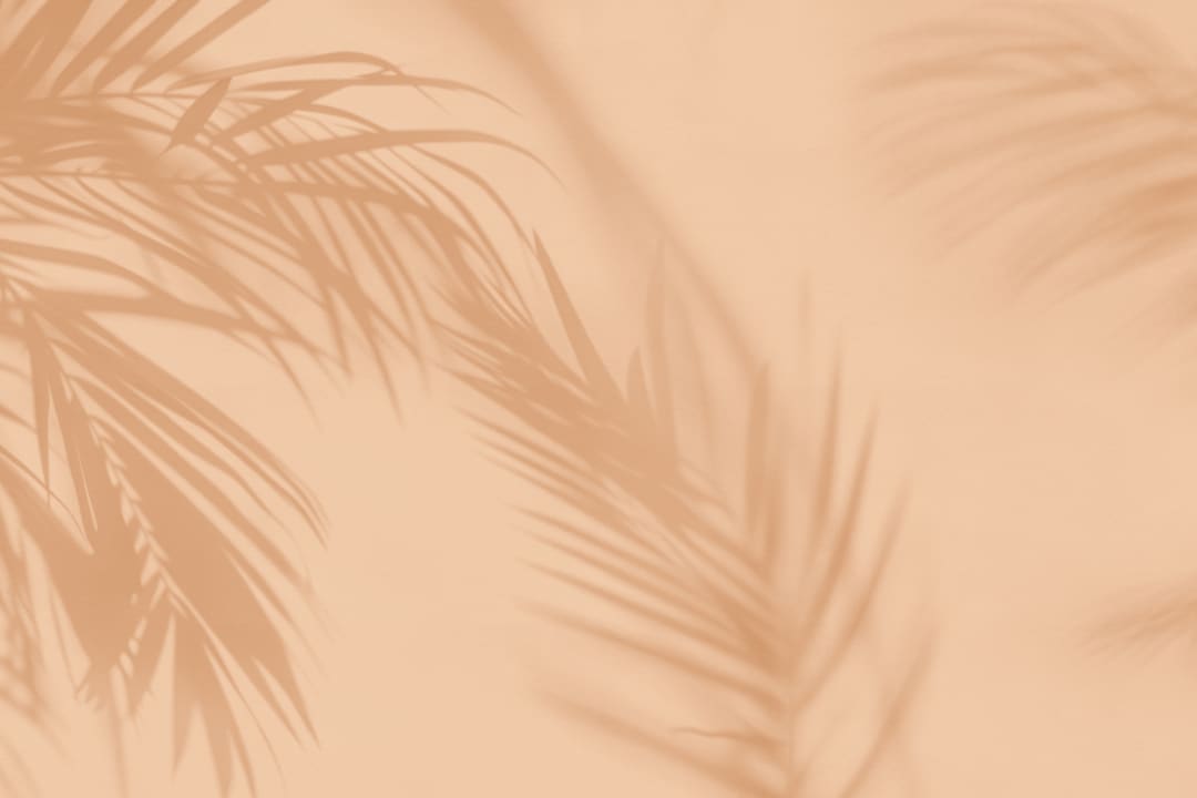Peach Palm Leaf Shadow Mural
