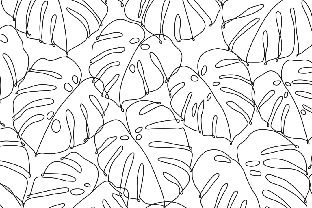 Black & White Minimal Monstera Leaf Repeat Pattern Wallpaper