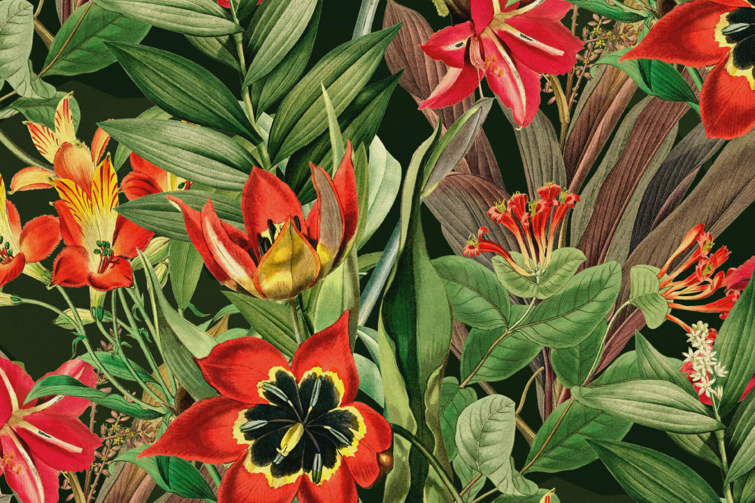 Vintage Tropical Foliage Mörkgrönt upprepat mönster tapet