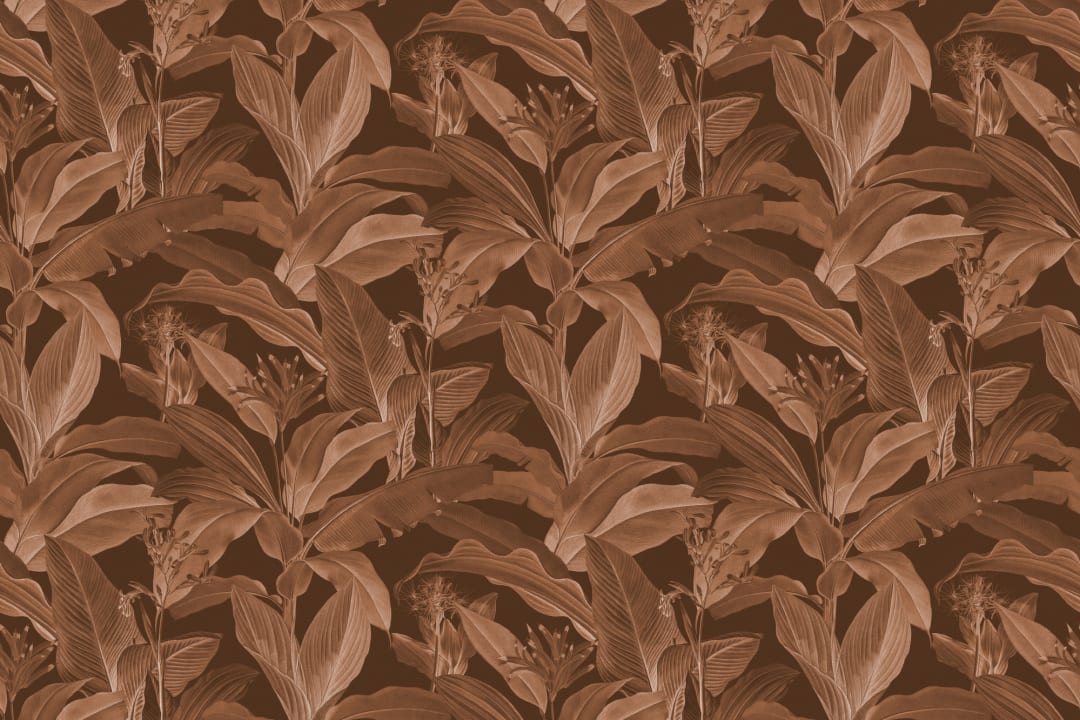 Botanist Dark Vintage Botanical Wallpaper in Rich Brown Tones