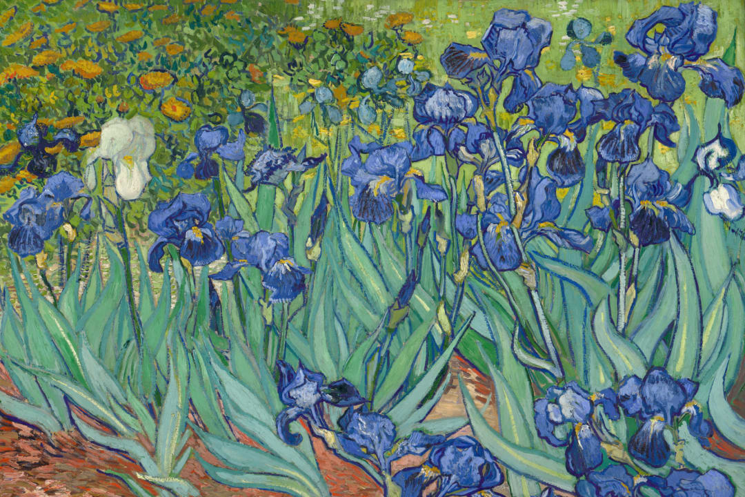 Irises by Van Gogh Wallpaper Mural