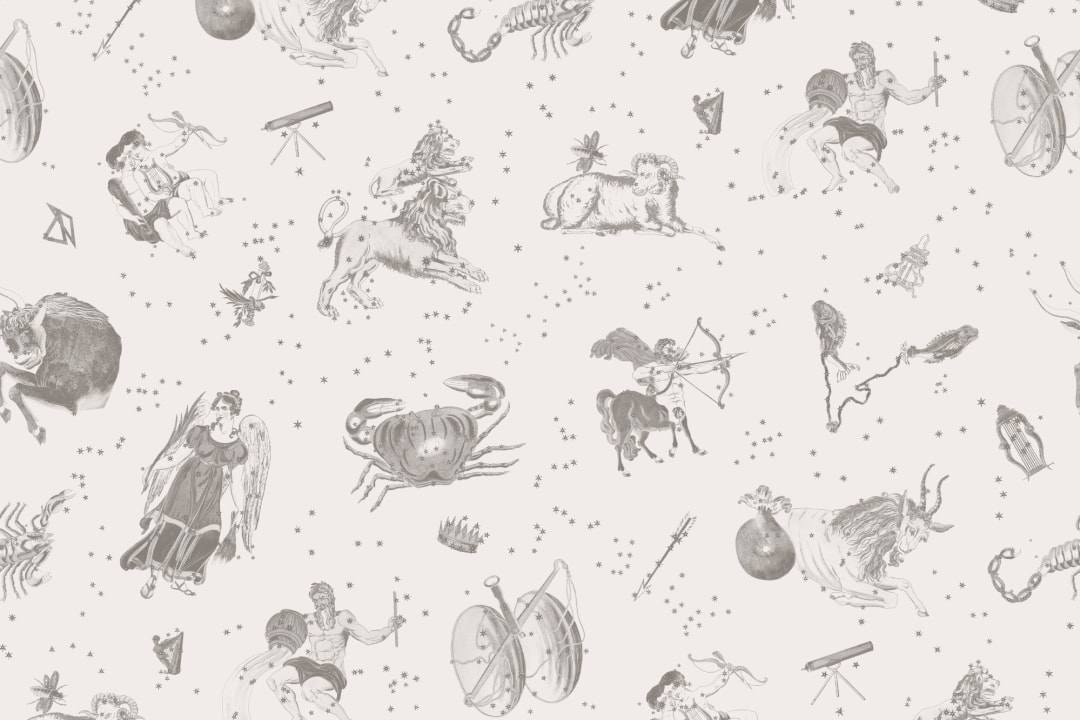 Mural de signos estelares astrológicos ilustrado en gris