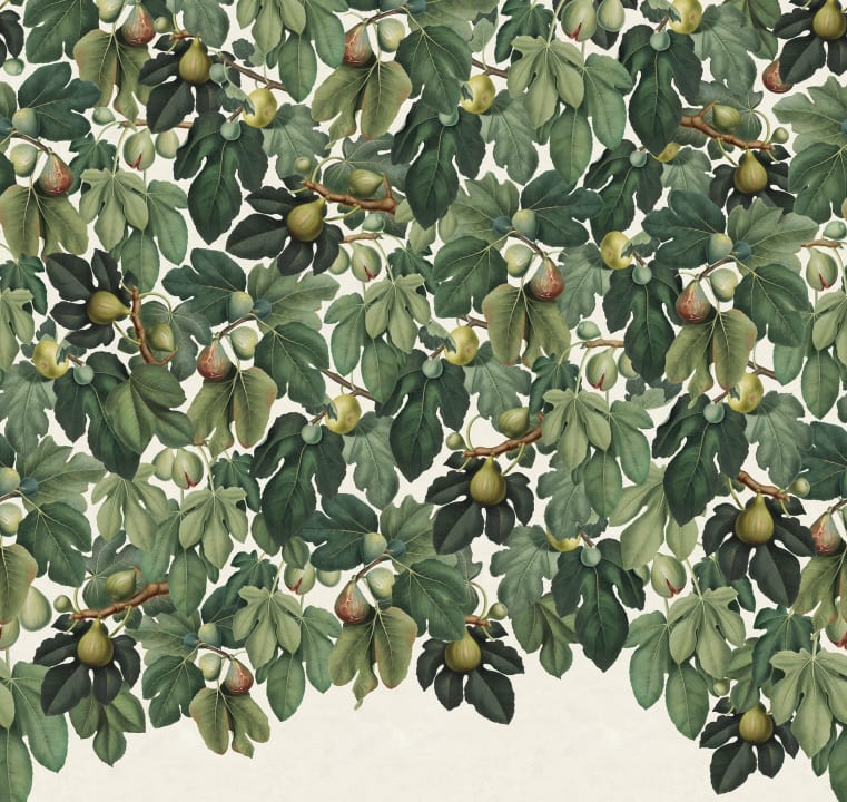 Fig Tree Green - Tapeten | Rebel Walls
