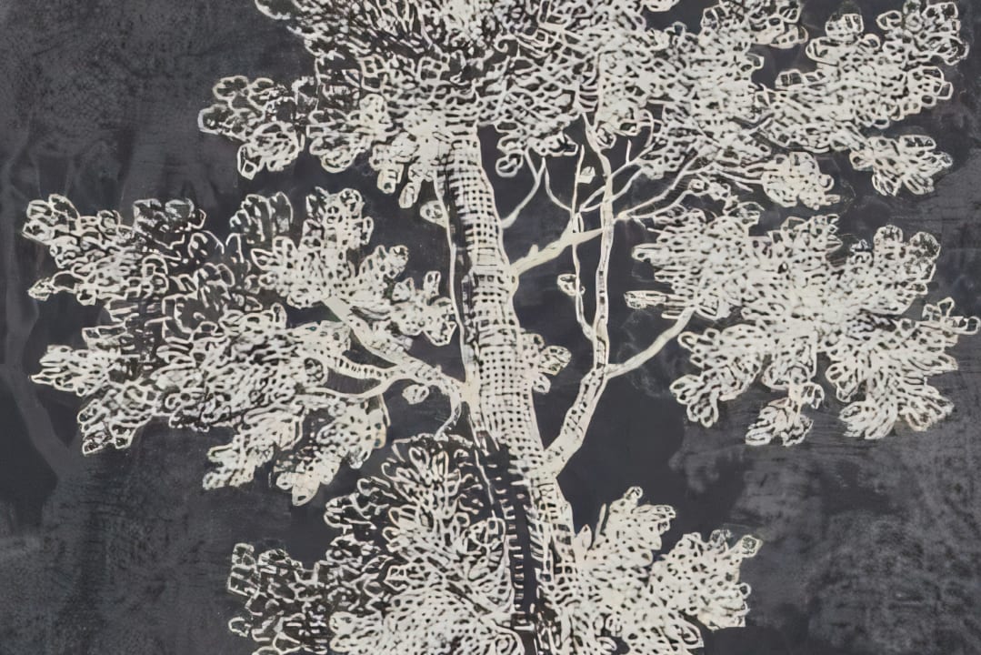 Tree Etching - Wallpaper | Rebel Walls