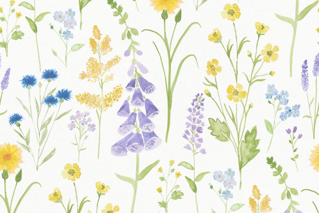 Foxglove