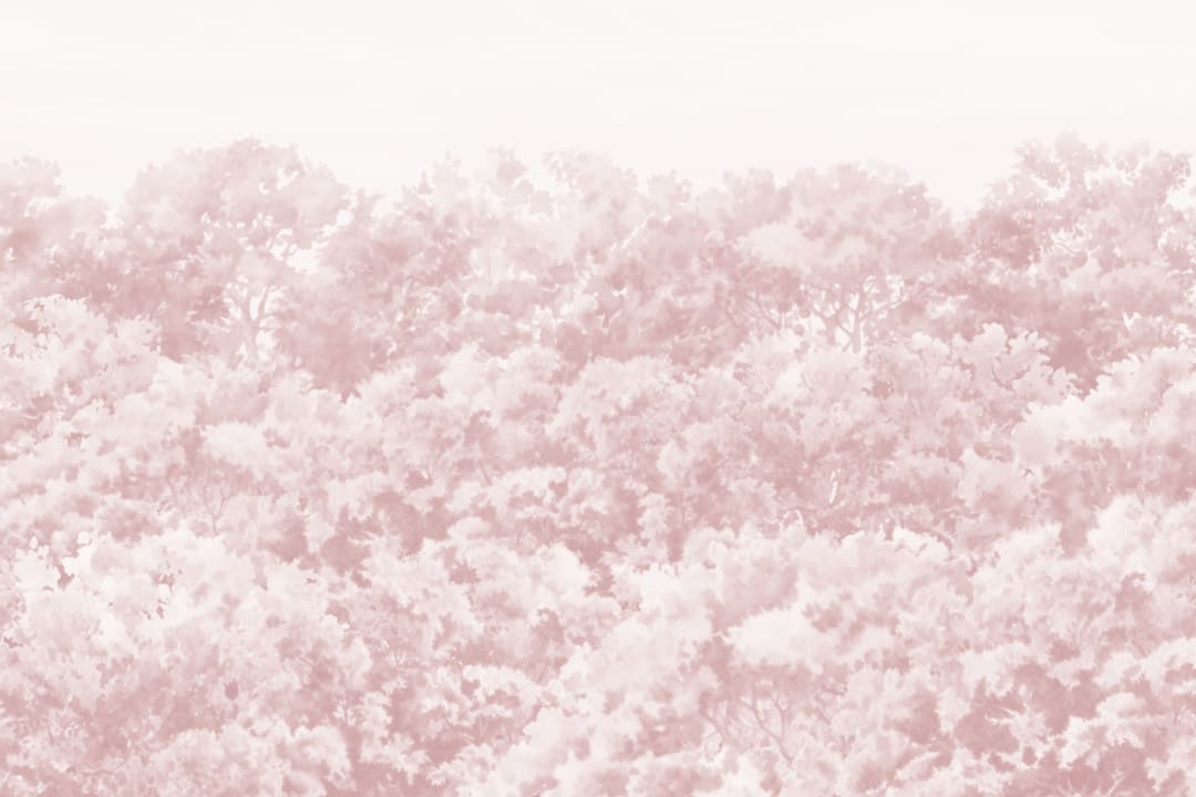 Buttonwood Pink
