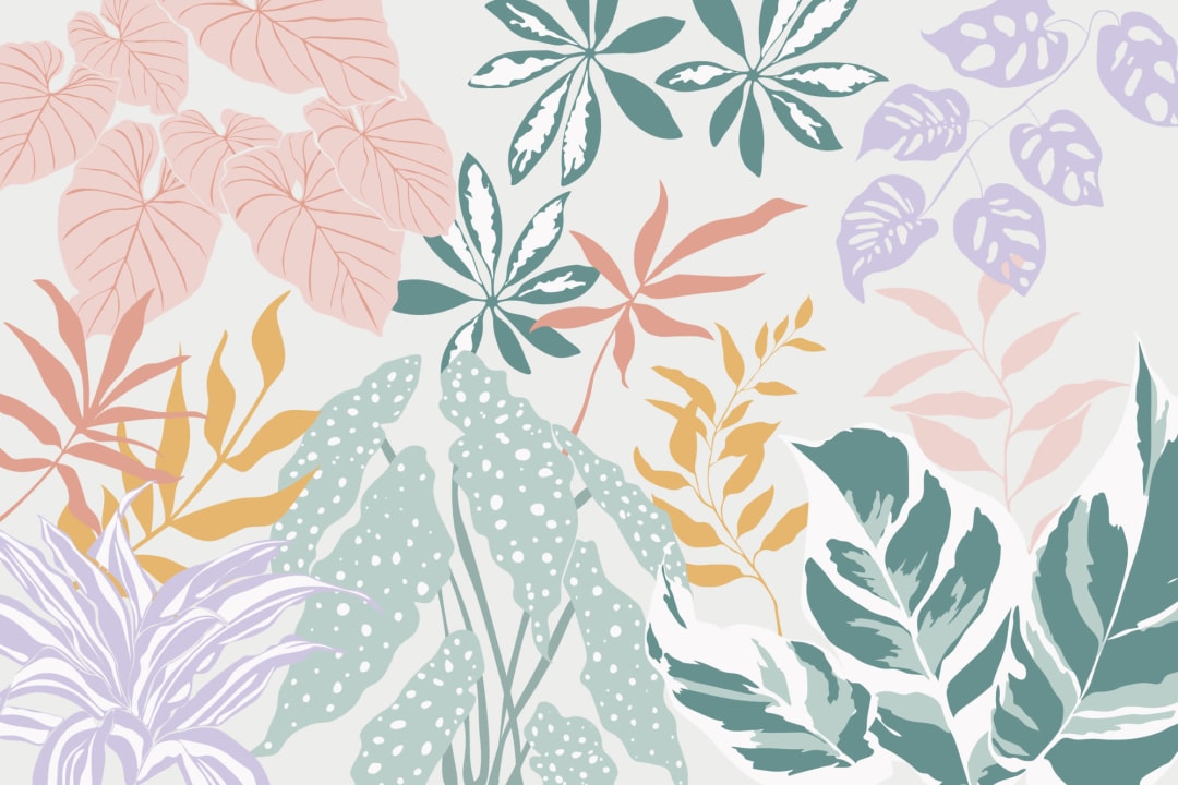 Cool Wallpaper - Fun, Trendy & Unique Designs - Hovia