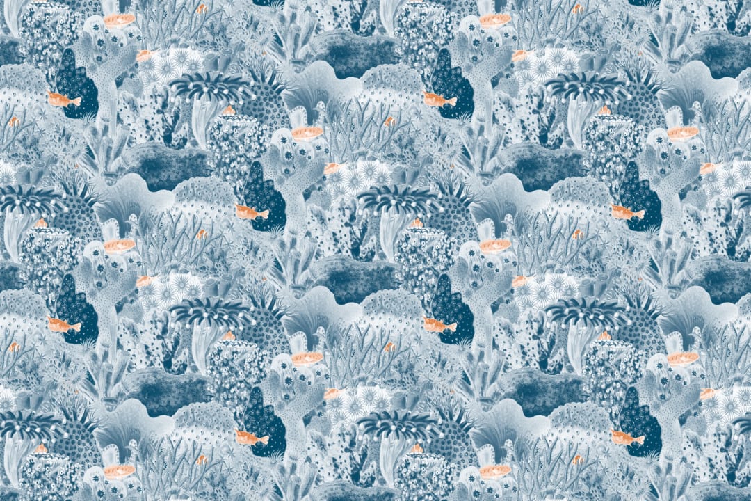 Anthozoa Navy