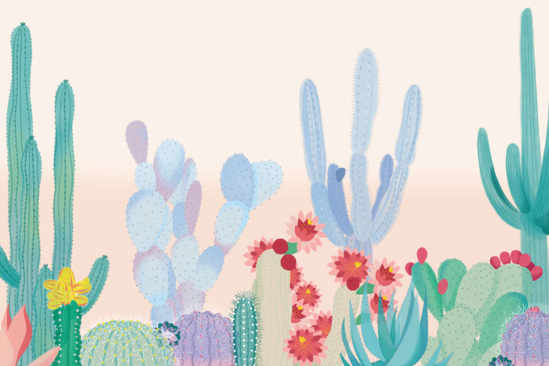 Cacti