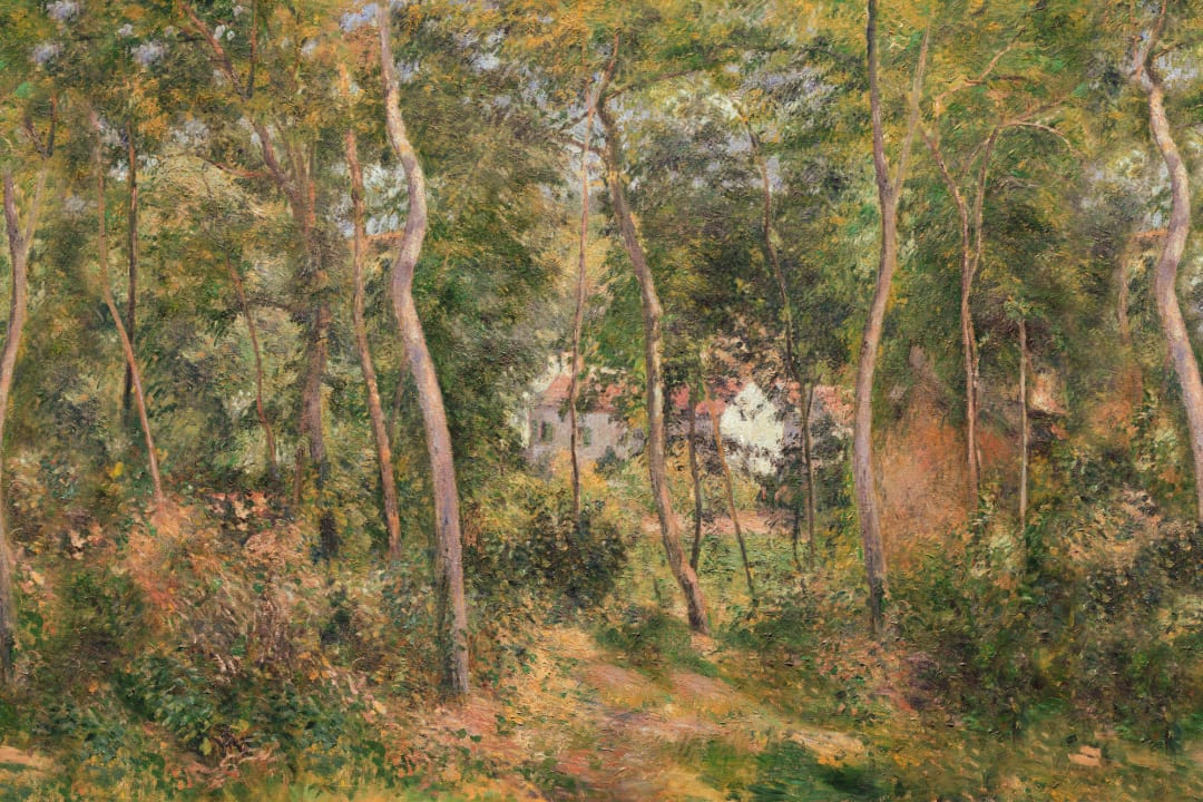 Wild Wood Classic